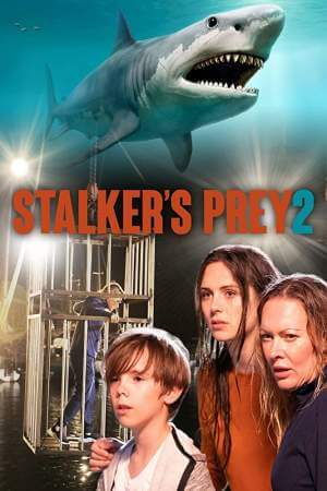 Бухта охотника 2 онлайн